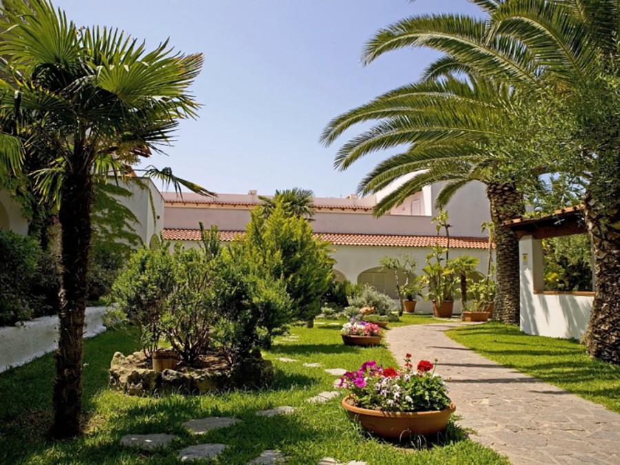 Royal Palm - Parco San Marco