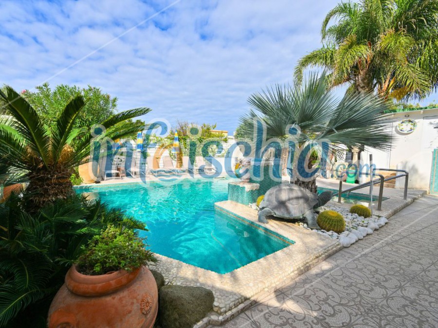 Foto 8