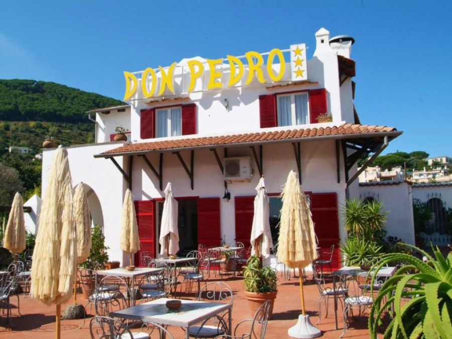 Hotel Don Pedro