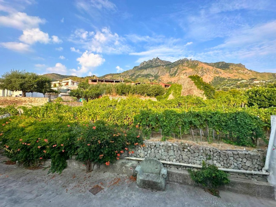 Il Vitigno di Dioniso Agriresort – esterni