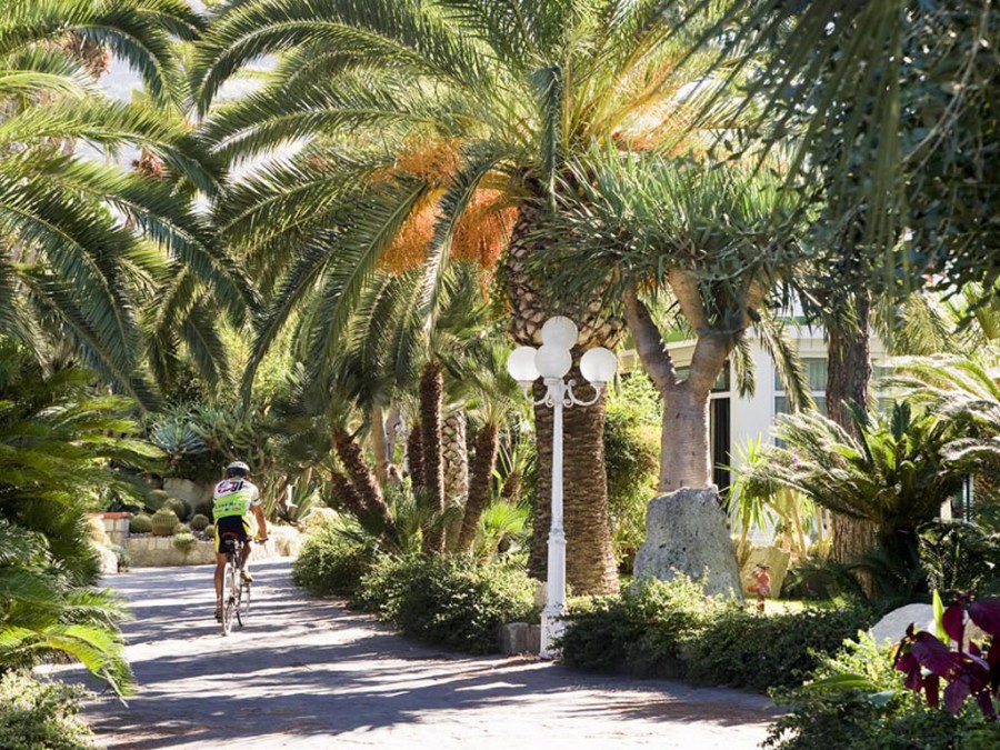 Park Hotel Terme Mediterraneo – giardino della struttura